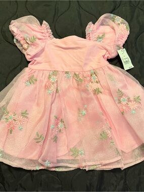 Audrey Camille (target brand ) Girls Pink Floral Tulle Party Dress -12Months